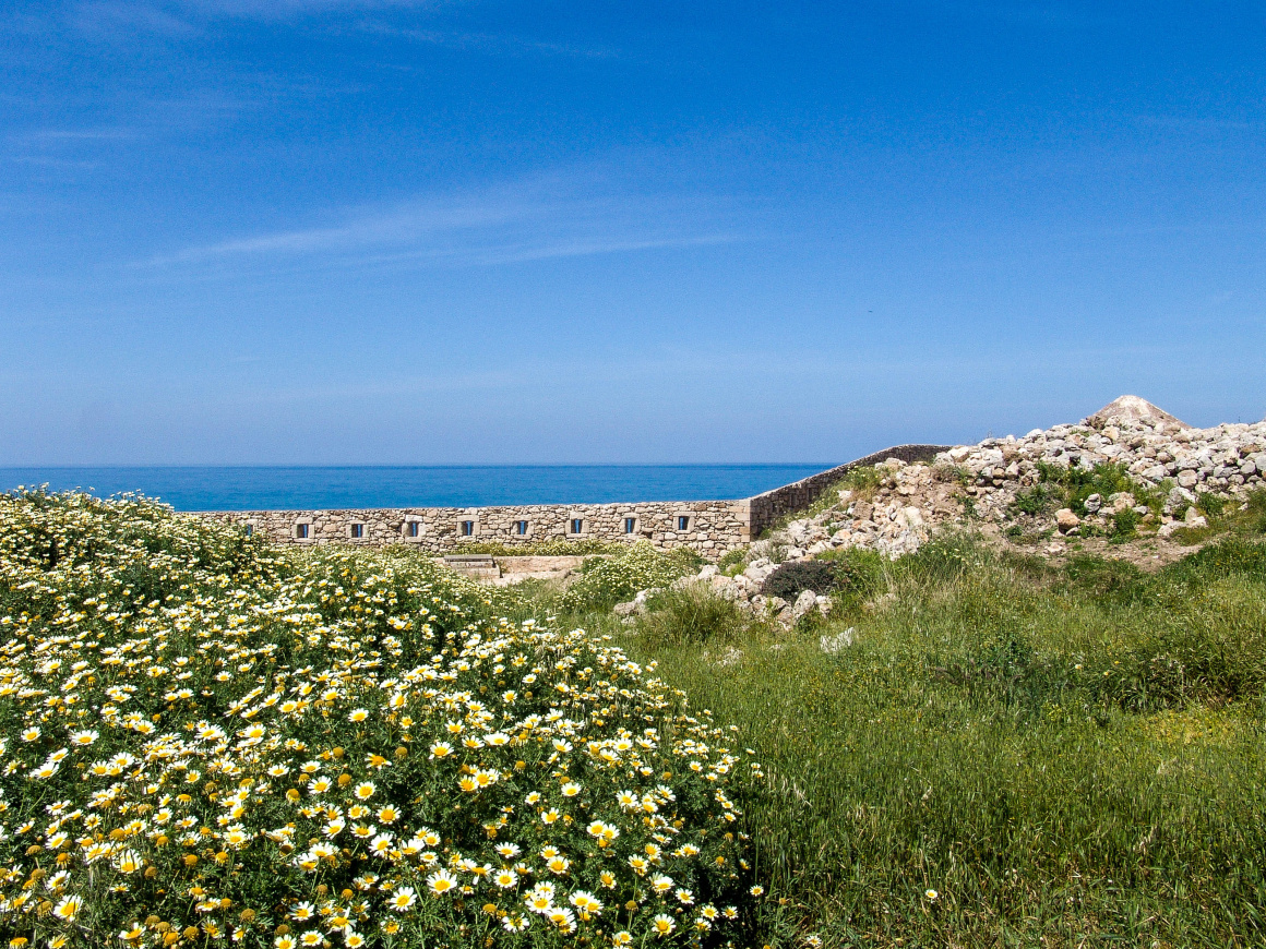 'Crete' - Crete